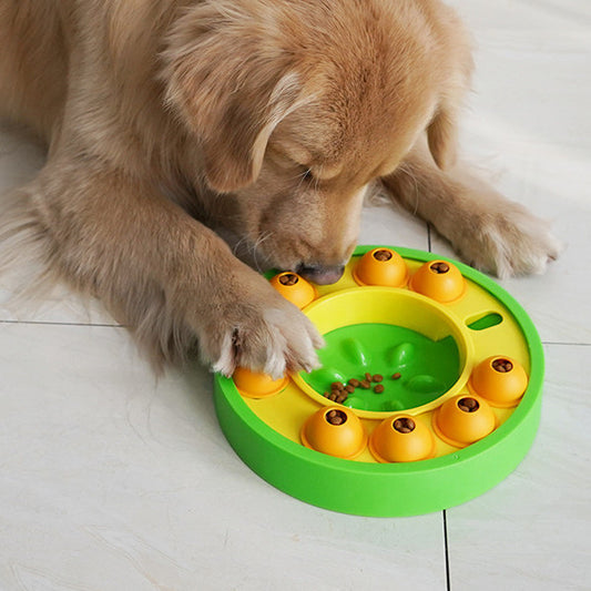 Comedero puzzle interactivo para perros